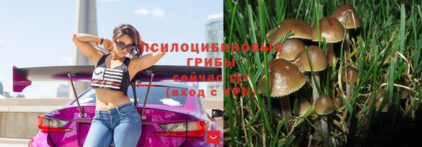 МДПВ Бородино
