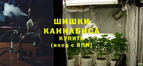 МДПВ Бородино