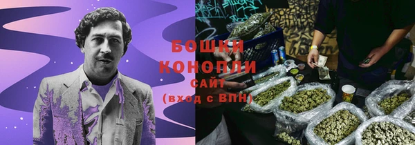 МДПВ Бородино