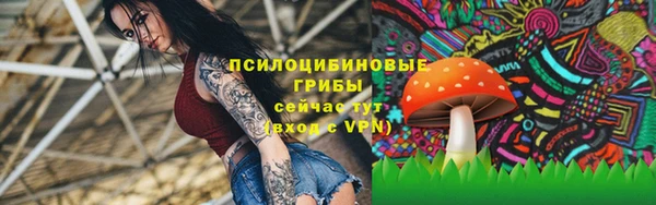 прущая мука Бронницы