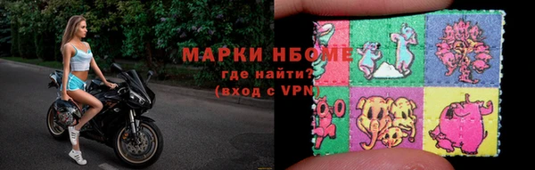 МДПВ Бородино