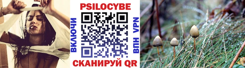 OMG как войти  Емва  Галлюциногенные грибы Psilocybine cubensis 